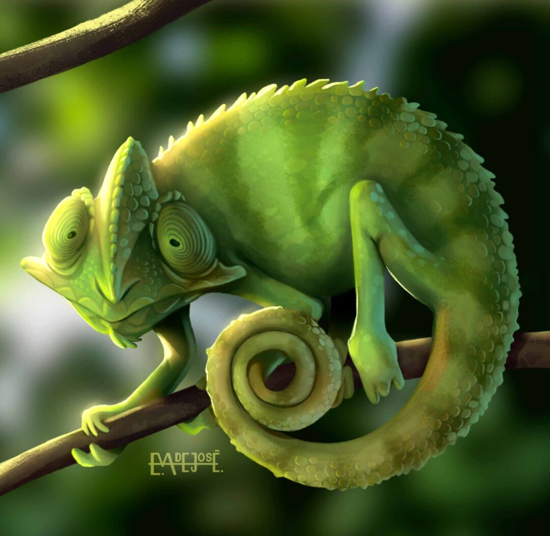 Camaleón, ilustración de Eva de José