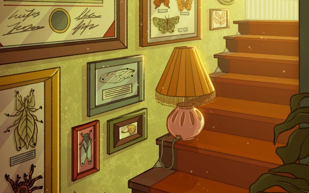 Fondo interior